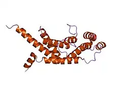1h6o: DIMERISATION DOMAIN FROM HUMAN TRF1