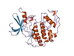 1hcl: HUMAN CYCLIN-DEPENDENT KINASE 2