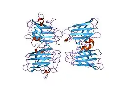 1hl4: THE STRUCTURE OF APO TYPE HUMAN CU, ZN SUPEROXIDE DISMUTASE