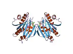 1hur: HUMAN ADP-RIBOSYLATION FACTOR 1 COMPLEXED WITH GDP, FULL LENGTH NON-MYRISTOYLATED