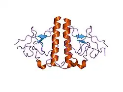 1i5k: STRUCTURE AND BINDING DETERMINANTS OF THE RECOMBINANT KRINGLE-2 DOMAIN OF HUMAN PLASMINOGEN TO AN INTERNAL PEPTIDE FROM A GROUP A STREPTOCOCCAL SURFACE PROTEIN