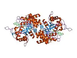 1ihi: Crystal Structure of Human Type III 3-alpha-Hydroxysteroid Dehydrogenase/Bile Acid Binding Protein (AKR1C2) Complexed with NADP+ and Ursodeoxycholate