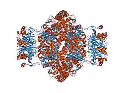 1is7: Crystal structure of rat GTPCHI/GFRP stimulatory complex