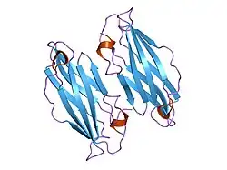1iu1: Crystal structure of human gamma1-adaptin ear domain