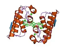 1j1a: Pancreatic secretory phospholipase A2 (IIa) with anti-inflammatory activity
