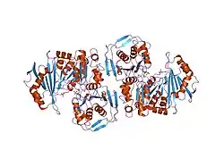 1jdy: RABBIT MUSCLE PHOSPHOGLUCOMUTASE