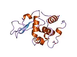 1jka: HUMAN LYSOZYME MUTANT WITH GLU 35 REPLACED BY ASP