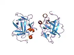1jqz: Human Acidic Fibroblast Growth Factor. 141 Amino Acid Form with Amino Terminal His Tag.