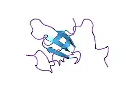 1k1z: Solution structure of N-terminal SH3 domain mutant(P33G) of murine Vav
