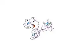 1ki0: The X-ray Structure of Human Angiostatin