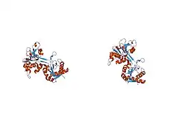 1l5t: Crystal Structure of a Domain-Opened Mutant (R121D) of the Human Lactoferrin N-lobe Refined From a Merohedrally-Twinned Crystal Form.