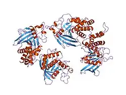 1lar: CRYSTAL STRUCTURE OF THE TANDEM PHOSPHATASE DOMAINS OF RPTP LAR