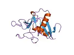 1lit: HUMAN LITHOSTATHINE
