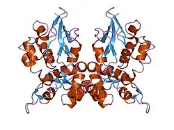 1lm7: Structures of two intermediate filament-binding fragments of desmoplakin reveal a unique repeat motif structure