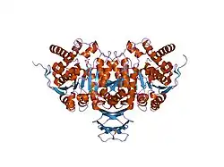 1lwd: CRYSTAL STRUCTURE OF NADP-DEPENDENT ISOCITRATE DEHYDROGENASE FROM PORCINE HEART MITOCHONDRIA