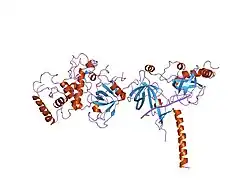 1mje: STRUCTURE OF A BRCA2-DSS1-SSDNA COMPLEX