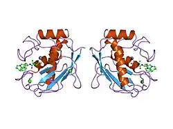 1mmp: MATRILYSIN COMPLEXED WITH CARBOXYLATE INHIBITOR