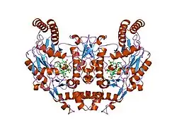 1mmv: Rat neuronal NOS heme domain with NG-propyl-L-arginine bound