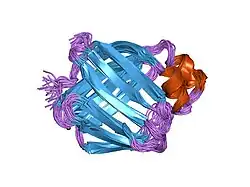 1mx7: Two homologous rat cellular retinol-binding proteins differ in local structure and flexibility