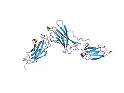 1n26: Crystal Structure of the extra-cellular domains of Human Interleukin-6 Receptor alpha chain