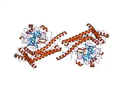 1nu7: Staphylocoagulase-Thrombin Complex