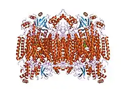 1ocz: BOVINE HEART CYTOCHROME C OXIDASE IN AZIDE-BOUND STATE