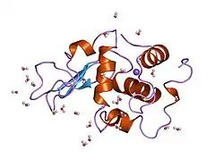 1oue: CONTRIBUTION OF HYDROPHOBIC RESIDUES TO THE STABILITY OF HUMAN LYSOZYME: X-RAY STRUCTURE OF THE V125A MUTANT