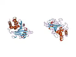 1p15: Crystal structure of the D2 domain of RPTPa