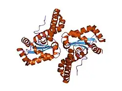 1pm9: CRYSTAL STRUCTURE OF HUMAN MNSOD H30N, Y166F MUTANT