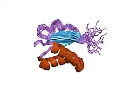 1pwk: Structure of the Monomeric 8-kDa Dynein Light Chain and Mechanism of Domain Swapped Dimer Assembly