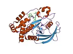 1pyn: DUAL-SITE POTENT, SELECTIVE PROTEIN TYROSINE PHOSPHATASE 1B INHIBITOR USING A LINKED FRAGMENT STRATEGY AND A MALONATE HEAD ON THE FIRST SITE