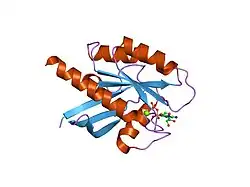 1q21: CRYSTAL STRUCTURES AT 2.2 ANGSTROMS RESOLUTION OF THE CATALYTIC DOMAINS OF NORMAL RAS PROTEIN AND AN ONCOGENIC MUTANT COMPLEXED WITH GSP