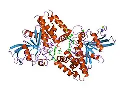 1q6s: THE STRUCTURE OF PHOSPHOTYROSINE PHOSPHATASE 1B IN COMPLEX WITH COMPOUND 9