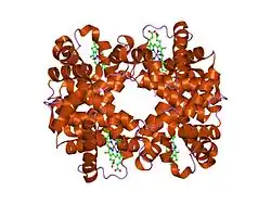 1rqa: Crystallographic Analysis of the Interaction of Nitric Oxide with Quaternary-T Human Hemoglobin. Beta W73E hemoglobin exposed to NO under anaerobic conditions