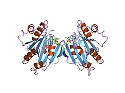 1rrg: NON-MYRISTOYLATED RAT ADP-RIBOSYLATION FACTOR-1 COMPLEXED WITH GDP, DIMERIC CRYSTAL FORM