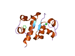 1rwe: Enhancing the activity of insulin at receptor edge: crystal structure and photo-cross-linking of A8 analogues
