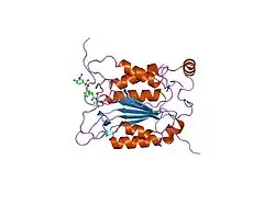 1rwv: Crystal structure of human caspase-1 in complex with 5-[5-(1-carboxymethyl-2-oxo-propylcarbamoyl)-5-phenyl-pentylsulfamoyl]-2-hydroxy-benzoic acid