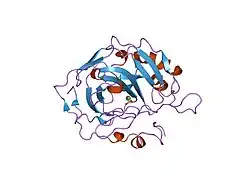 1rze: X-RAY ANALYSIS OF METAL SUBSTITUTED HUMAN CARBONIC ANHYDRASE II DERIVATIVES