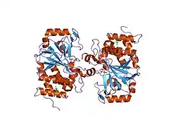 1s95: Structure of serine/threonine protein phosphatase 5