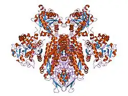 Transferrin bound to its receptor.[19]