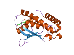 1sz7: Crystal structure of Human Bet3
