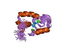 1tnq: STRUCTURES OF THE APO AND CALCIUM TROPONIN-C REGULATORY DOMAINS: THE MUSCLE CONTRACTION SWITCH