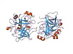 1tq0: Crystal structure of the potent anticoagulant thrombin mutant W215A/E217A in free form