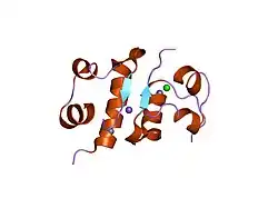 1trz: CRYSTALLOGRAPHIC EVIDENCE FOR DUAL COORDINATION AROUND ZINC IN THE T3R3 HUMAN INSULIN HEXAMER