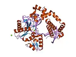 1tv9: HUMAN DNA POLYMERASE BETA COMPLEXED WITH NICKED DNA CONTAINING A MISMATCHED TEMPLATE ADENINE AND INCOMING CYTIDINE