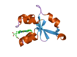 1u9u: Crystal structure of F58Y mutant of cytochrome b5