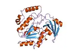 1ugh: CRYSTAL STRUCTURE OF HUMAN URACIL-DNA GLYCOSYLASE IN COMPLEX WITH A PROTEIN INHIBITOR: PROTEIN MIMICRY OF DNA