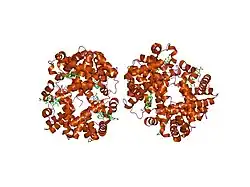 1uiw: Crystal Structures of Unliganded and Half-Liganded Human Hemoglobin Derivatives Cross-Linked between Lys 82beta1 and Lys 82beta2