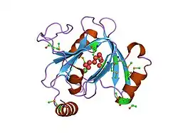 3D structure of Acireductone dioxygenase