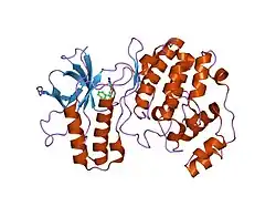 1wbw: Identification of novel p38 alpha MAP kinase inhibitors using fragment-based lead generation.